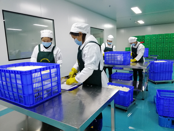 凈菜加工整套生產(chǎn)線 凈菜加工設(shè)備 清洗風干切制全套設(shè)備定制